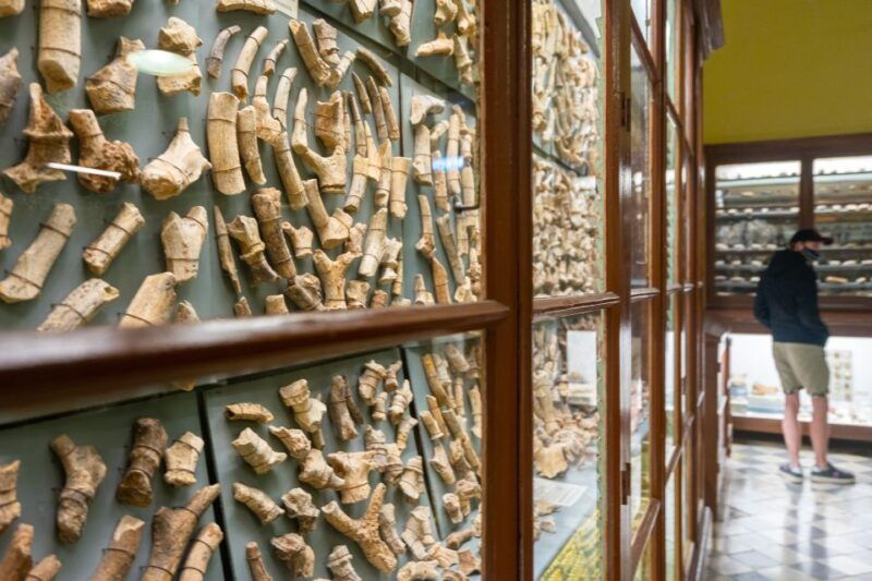 prehistoric-temples-of-malta-tour