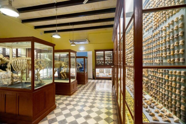 prehistoric-temples-of-malta-tour
