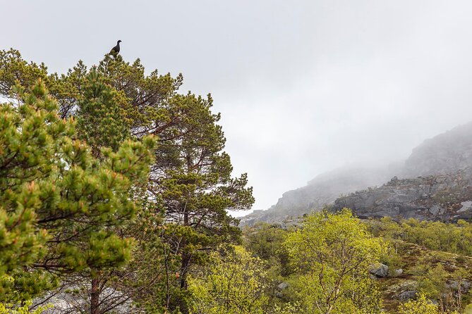 preikestolen-hidden-trail-hike-and-canoe-trip
