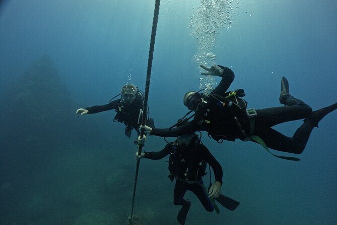 Premier Dive Spots Experience in Kushimoto - Who Should Consider This Tour?