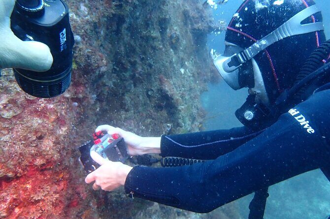 Premier Dive Spots Experience in Kushimoto - The Sum Up