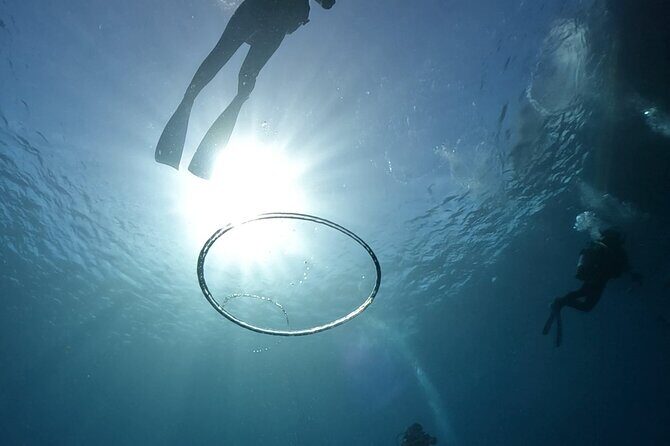 Premier Dive Spots Experience in Kushimoto - FAQ