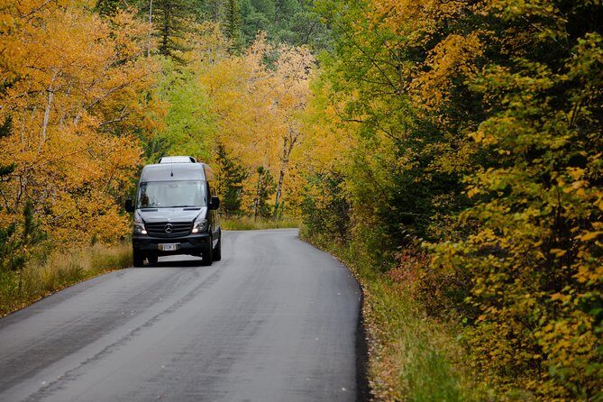 Premiere Private Black Hills Tour: Mt Rushmore, Crazy Horse & Custer State Park - Value and Cost Analysis