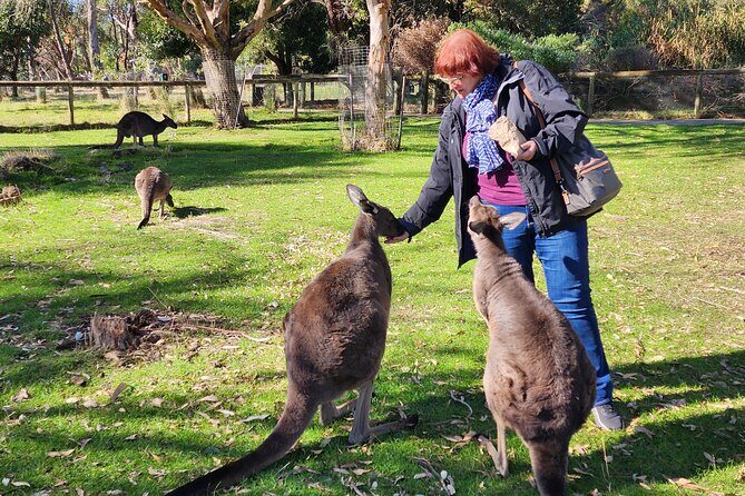 Premium Adelaide Hills Full Day Shore Tour Cruise Port Pick-up - Exploring the Premium Adelaide Hills Full Day Shore Tour