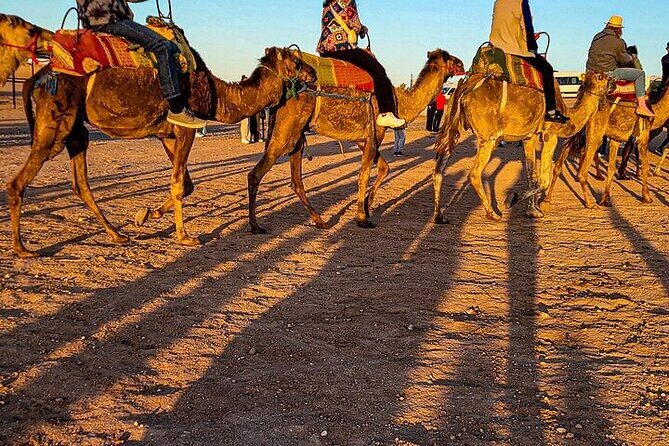 Premium Agafay Desert: Camel, Quad, Dinner & Fire Show - What You Should Know Before Booking