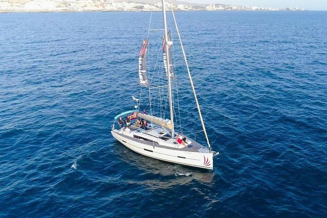 premium-all-inclusive-whale-dolphin-watching-experience