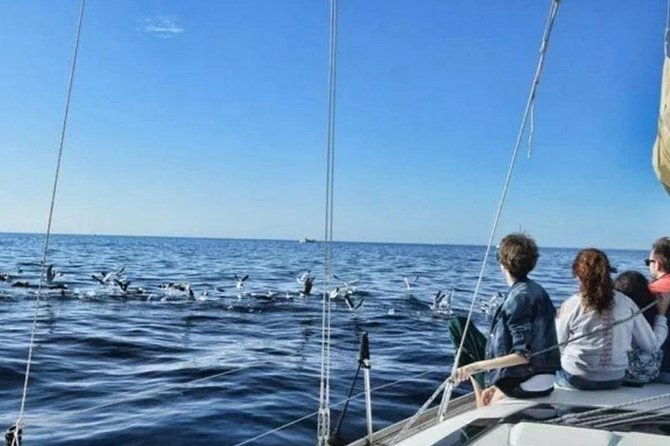 premium-all-inclusive-whale-dolphin-watching-experience