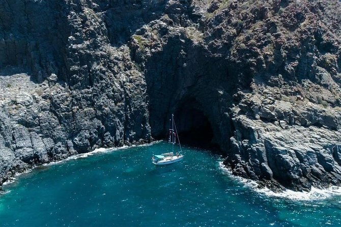 premium-all-inclusive-whale-dolphin-watching-experience