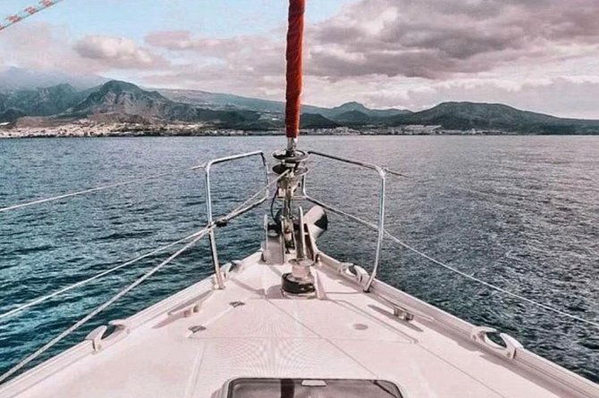 premium-all-inclusive-whale-dolphin-watching-experience