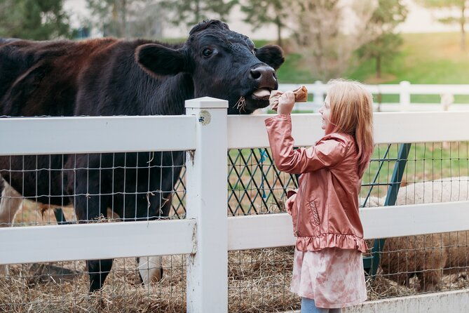 premium-amish-country-tour-including-amish-farm-and-house