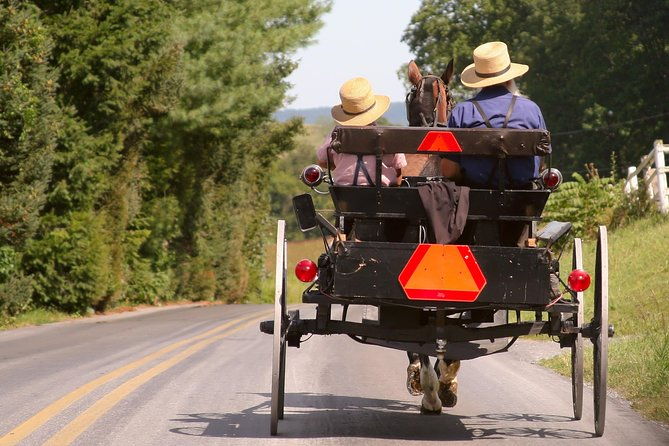 premium-amish-country-tour-including-amish-farm-and-house