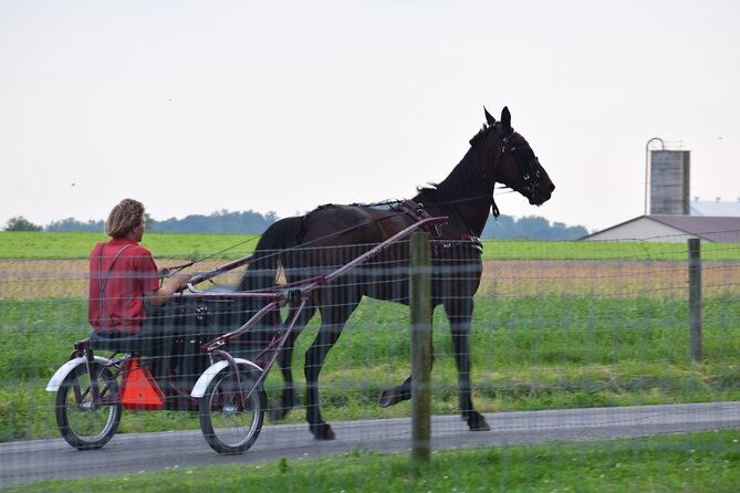 premium-amish-country-tour-including-amish-farm-and-house