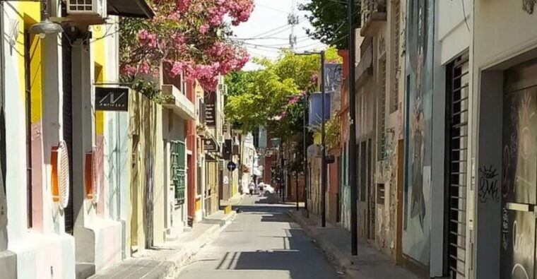 premium-argentinian-wine-and-malbec-tasting-urban-art-tour