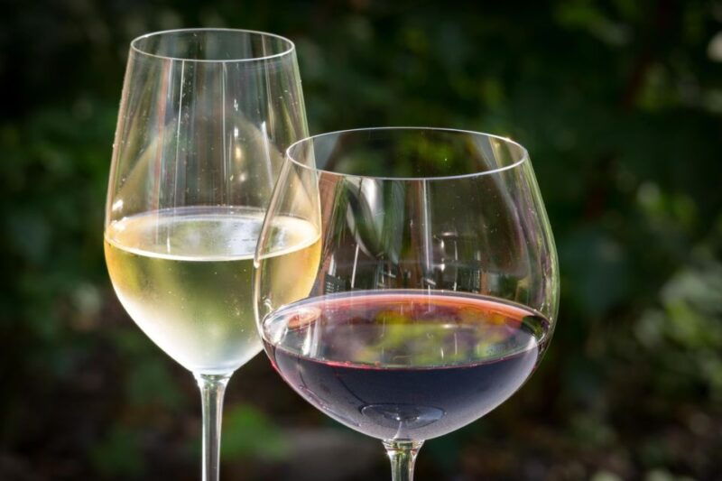 premium-argentinian-wines-and-malbec-tasting-experience