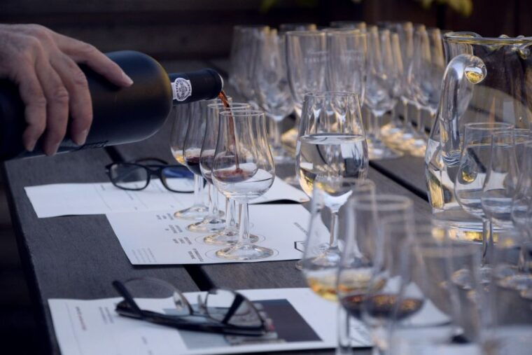 premium-argentinian-wines-and-malbec-tasting-experience