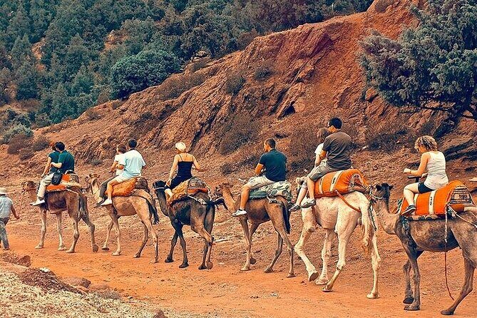 Premium Atlas Mountains & Berber Village Day Trip with Camel Ride - Key Points