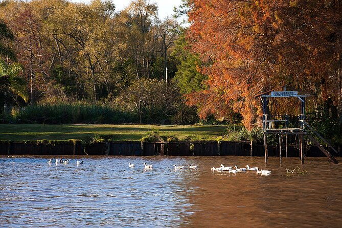 premium-audioguided-navigation-from-buenos-aires-to-tigre