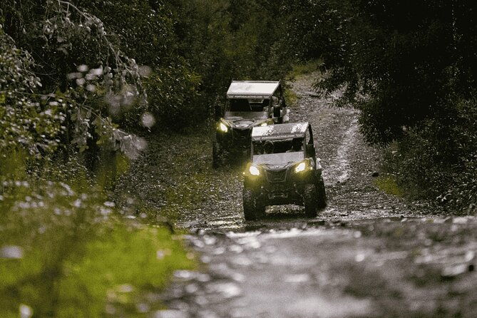 premium-buggy-experience-in-ponte-de-lima