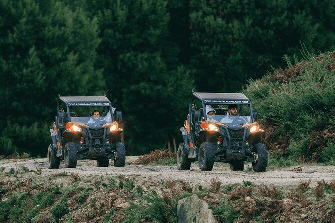 premium-buggy-experience-in-ponte-de-lima