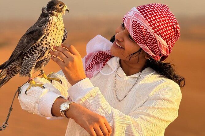 Premium Camp Dubai Desert Safari - Key Points