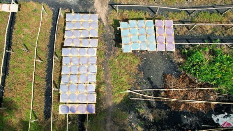 Premium Can Tho Floating Market - Fruit Garden - Cacao Farm - Visiting a Rice Noodle Factory and Tasting Homemade Noodle Pizza