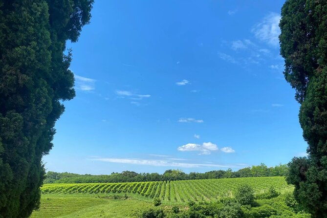 premium-cheeses-and-gins-tour-in-the-prosecco-hills-full-lunch