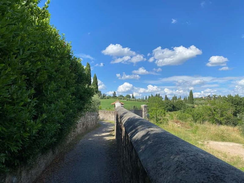 Premium Chianti E-Bike Tour, Food Wine Tasting + Photo shoot - The Farm Experience and Food Tasting