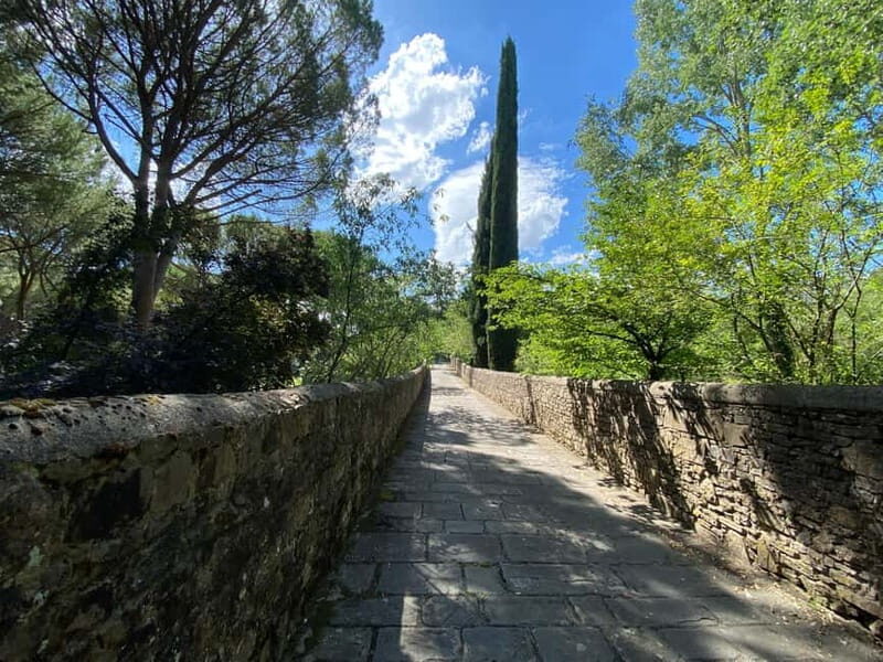Premium Chianti E-Bike Tour, Food Wine Tasting + Photo shoot - FAQ
