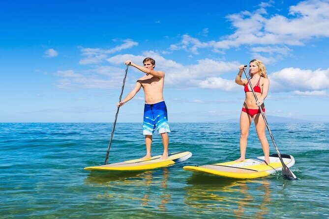 Premium Coral Island Pattaya by Speed boat - Final Thoughts