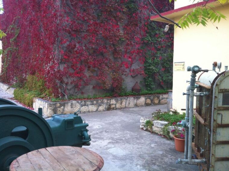 premium-crete-olive-oil-tasting-wine-raki-and-cretan-food