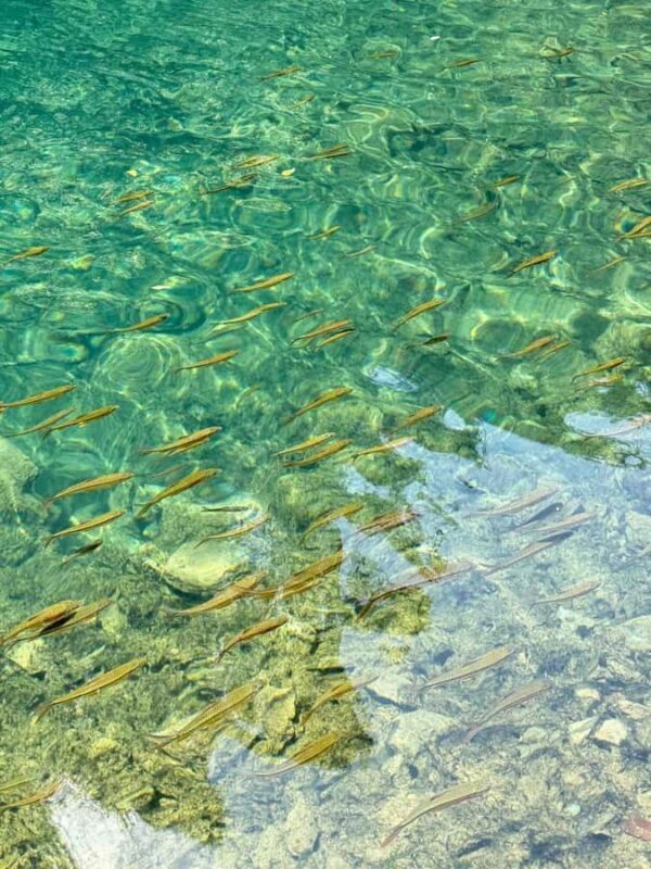 Premium Day Trip to Xiaoqikong - Arriving at Xiaoqikong Scenic Area