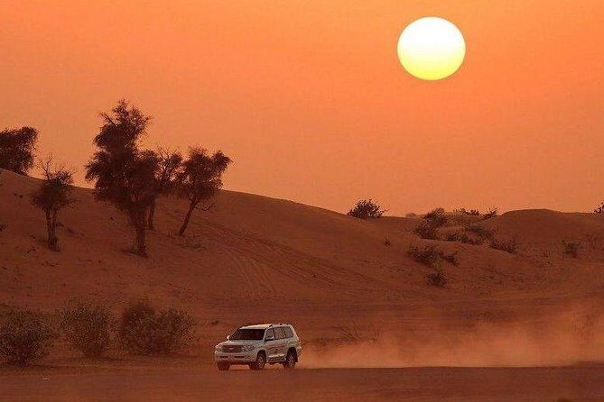 Premium Desert Safari, Barbeque, 3 Shows, Camel ride, Sand-board at Bedouin camp - Practical Tips for Travelers