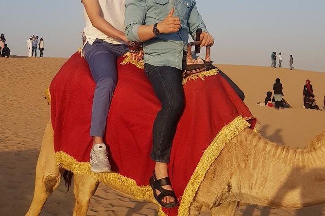 Premium Desert Safari, Barbeque, 3 Shows, Camel ride, Sand-board at Bedouin camp - The Sum Up