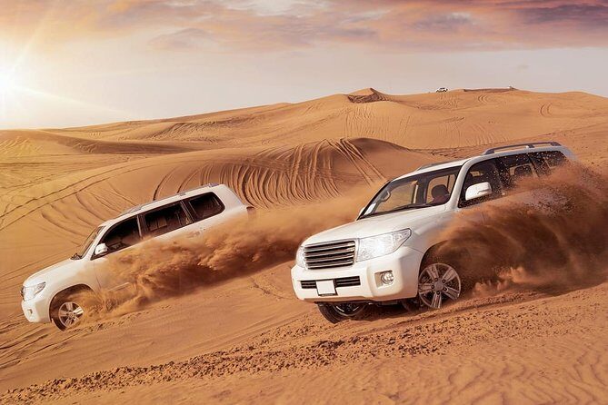 Premium Desert Safari with 45 Minutes of Dune Bashing, BBQ Dinner & Belly Dance - What to Expect from the Tour: A Detailed Breakdown