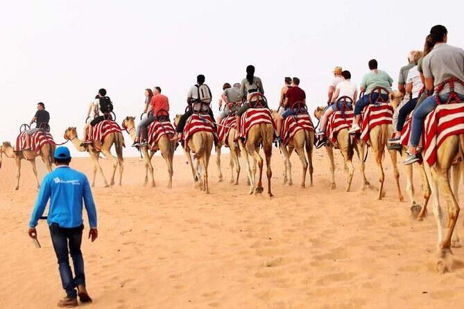 Premium Desert Safari with 45 Minutes of Dune Bashing, BBQ Dinner & Belly Dance - Who Is This Tour Best For?