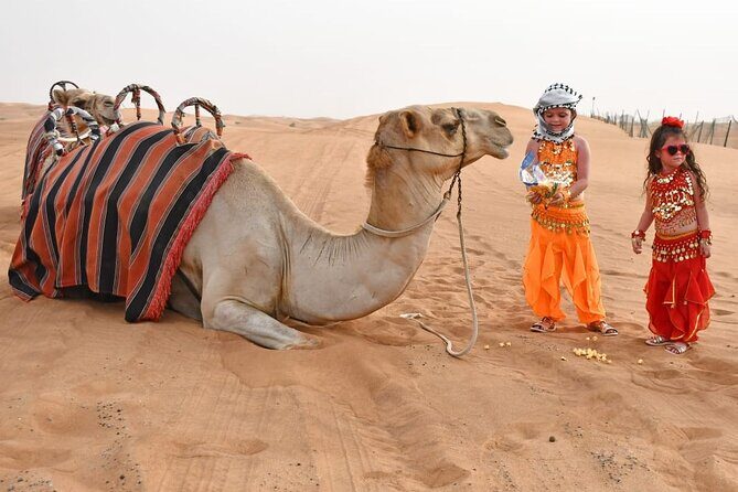 Premium Desert Safari With BBQ Dinner & Belly Dance - Cancellation Policy & Booking Flexibility