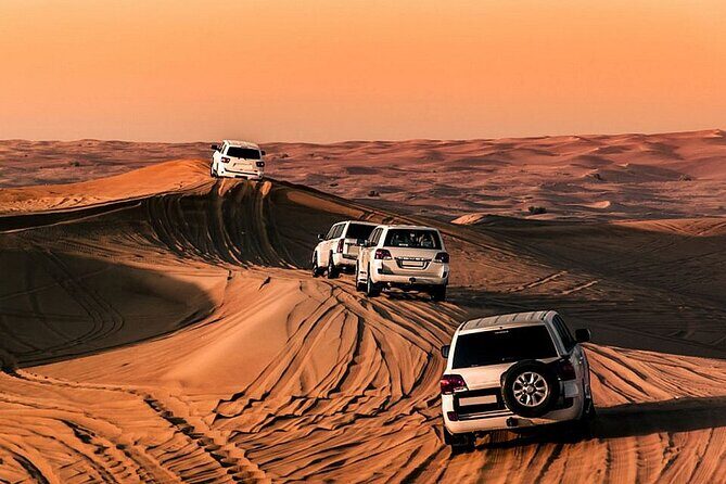 Premium Desert Safari with Dinner, Dunes and Ten Shows (VIP) - Introduction: What to Expect from the VIP Desert Safari