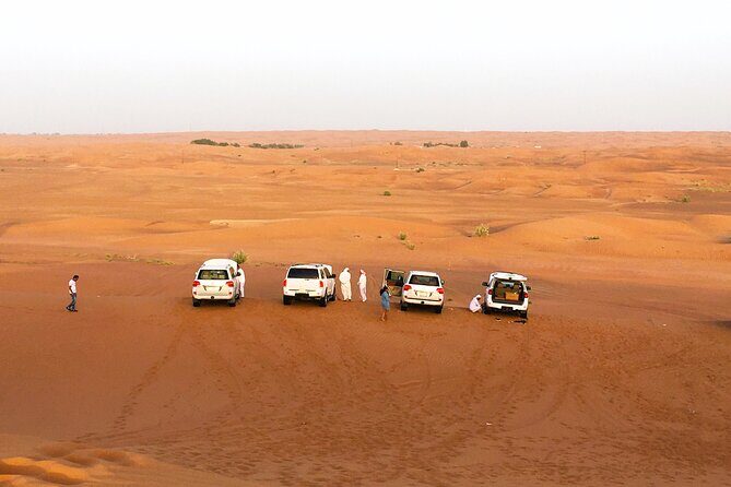 Premium Dubai Desert Safari 4x4 with BBQ Dinner - The Sum Up: Who Will Love This Tour?