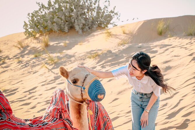 Premium Dubai Desert Safari with Dune Bashing, BBQ, Live Shows - A Closer Look at the Experience  