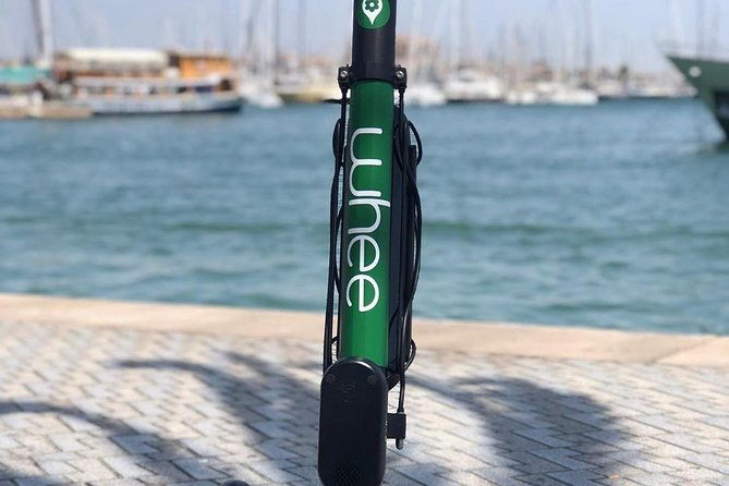 premium-electric-scooter-rental-with-optional-delivery