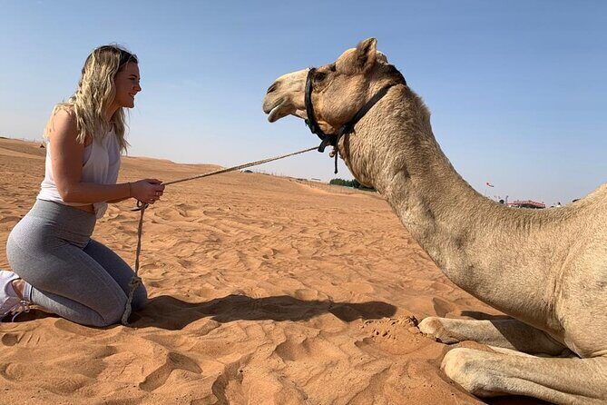 Premium Evening Desert Safari, Quad Bike, Camel & VIP BBQ Dinner - In-Depth Review: Everything You Need to Know
