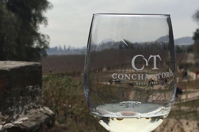 premium-excursion-in-concha-y-toro