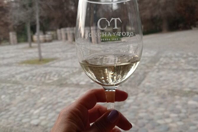 premium-excursion-in-concha-y-toro