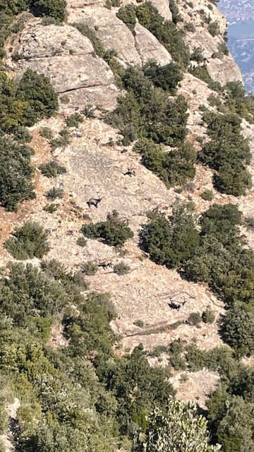 premium-experience-in-montserrat-barcelona