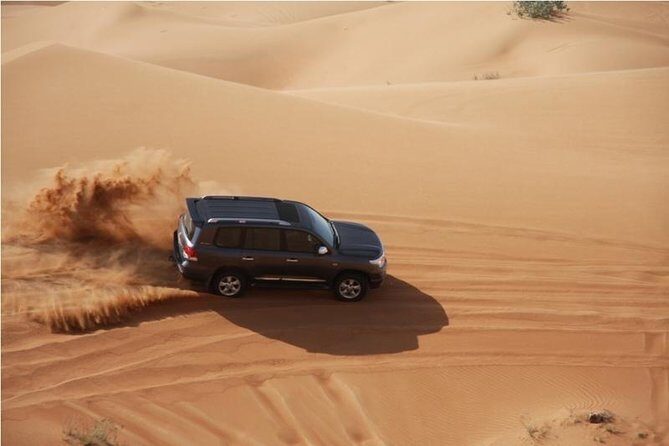 Premium Full-Day Safari, Dune Bash, Camel Ride and BBQ Meal in Desert Camp - How the Tour Unfolds: A Breakdown of the Itinerary