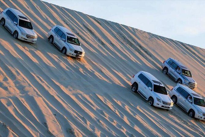 Premium Full-Day Safari, Dune Bash, Camel Ride and BBQ Meal in Desert Camp - Who Is This Tour Best For?
