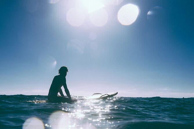 Premium Full Day Tour - An In-Depth Look at the Margaret River Premium Full Day Tour