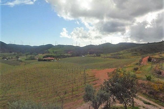 premium-gastronomic-mountain-tour-wine-olive-oil-spirits-food-2