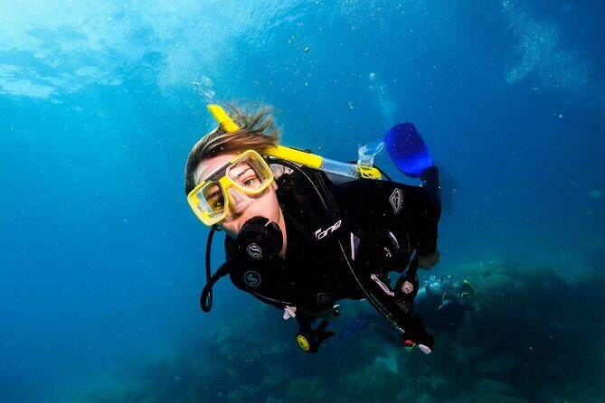 Premium Guided Dive Trip - Outer Great Barrier Reef - Who Will Love This Tour?