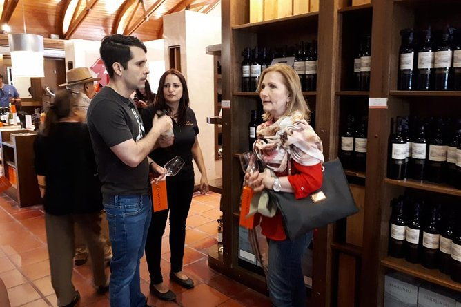 premium-half-day-concha-y-toro-vineyard-tour-includes-winetasting